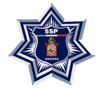 Secretariat of Public Security -