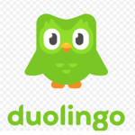 Duolingo SLAYZ