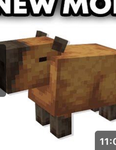 Capybara group:):):]
