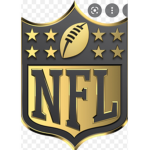 N.F.L squad
