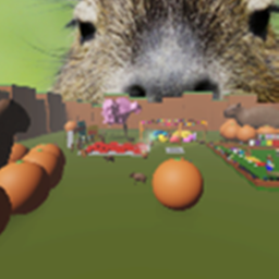 [RIDEABLE CAPYBARAS!] CAPYBARA HANGOUT