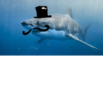 Gentlemen sharks