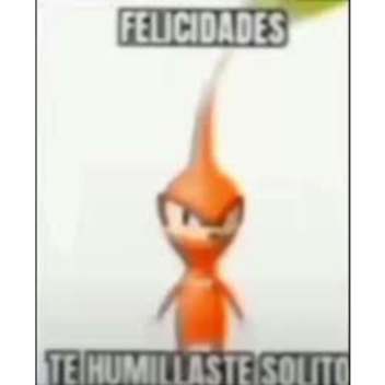 Sobrevive