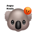 KayKay & The Angry Koalas