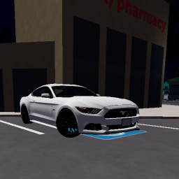 Real Driving Simulator