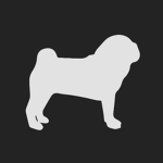 The Bloxy Pug