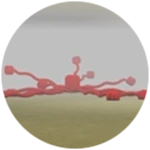 Teleport Tool 텔레포트 도구