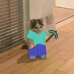 Server Owners