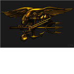 T.N.S (The Navy SEALs)