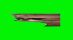 dont search
