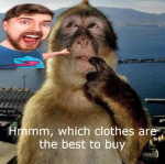 Elephant Clothing experience