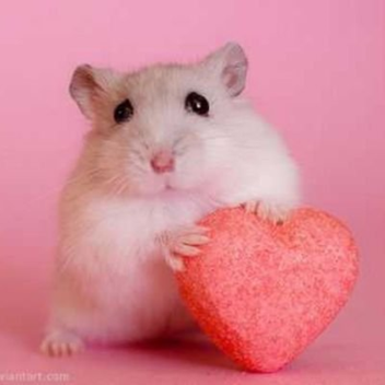 Thank you for your donations <3