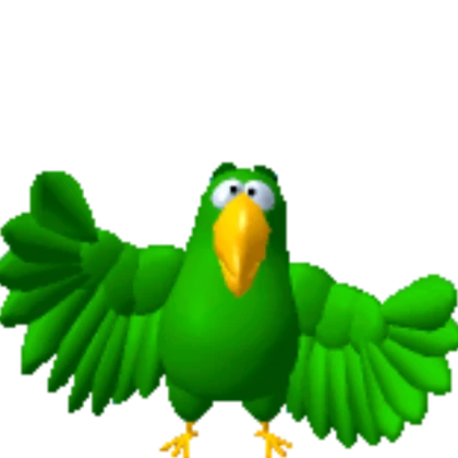 Peedy The Parrot