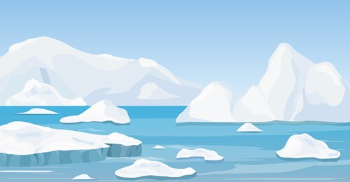 The Arctic