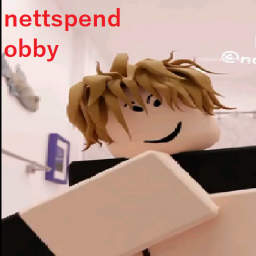 nettspend obby