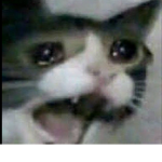 alxnsxuvu