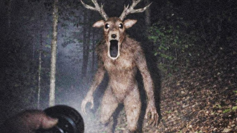 Enter 99 Nights Deer screenshot 1