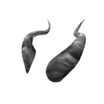 Marble Frost Horns