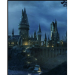 Hogwarts academy 101