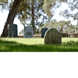 R.I.P. William old account's