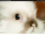 Bunny group for peeps