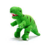Dinosaur Fan Squad