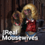 The Real Mousewives