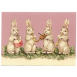 The Baby Bunny Band!