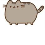 1000chipsan's Pusheen group