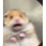 친구들에 채팅방