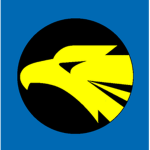 306th Tactical Fighter Squadron