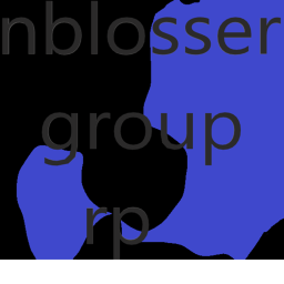 nblosser group rp