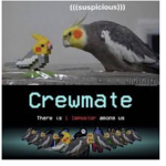 Turtle And Birb Army