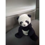 The Pandas And Me!