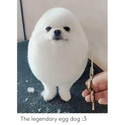 Egg Dog War [GUI UPDATE]