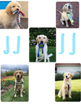 Jjplayz074 group