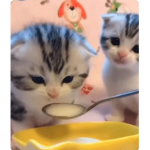 Фан Эда!<3