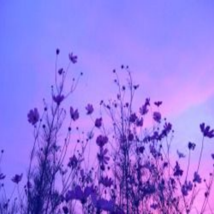 Purple Aesthetic Roblox decal