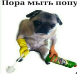 Rasdacha