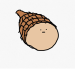 Mr hams