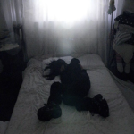 Sleep My Dear