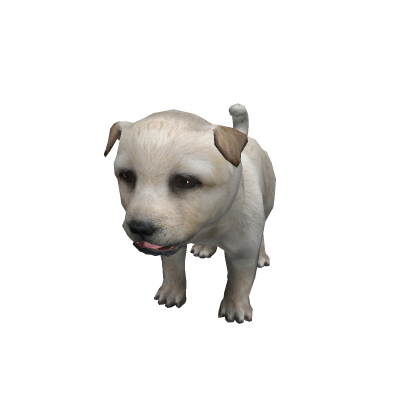 Pet The Dog