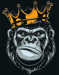 GORILLAS UNlTED