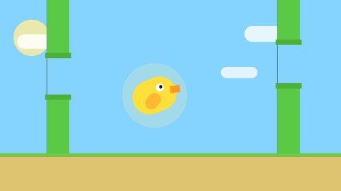 Happy Bird 🐦!