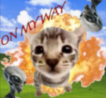 Montana army