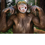 The Monke Business...