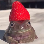 Forever Frogs <3