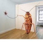 gansta roaches ;)
