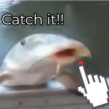 🎮[Testing] Catch fish!🎣
