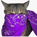 Друзья гы